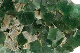 Fluorescent Green Fluorite Cluster - Diana Maria Mine, England #319137-1